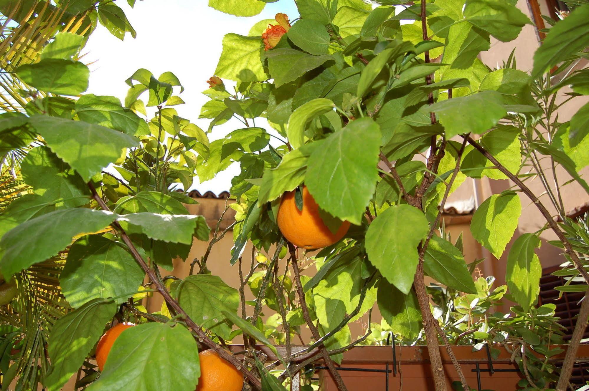 Al Vicoletto Apartment Agrigento Luaran gambar